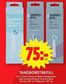 TANDBORSTREFILL
