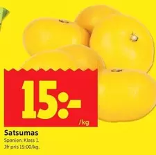 Satsumas