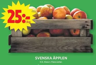 Äpplen