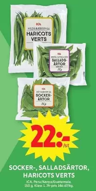 Milda - SOCKER-, SALLADSÄRTOR, HARICOTS VERTS