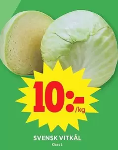 SVENSK VITKÅL