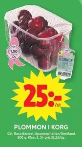 PLOMMON I KORG