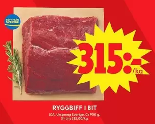 RYGGBIFF I BIT