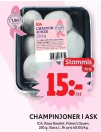 CHAMPINJONER I ASK
