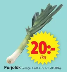 Purjolök
