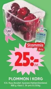 PLOMMON I KORG