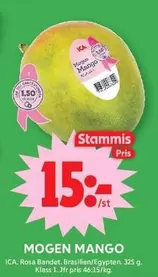 Mogen Mango