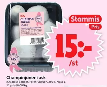 Champinjoner i ask