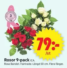 fairtrade - Rosor 9-pack