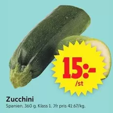 Zucchini