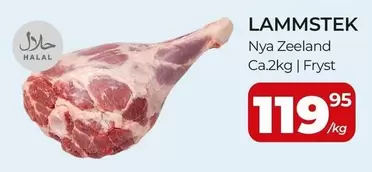 LAMMSTEK