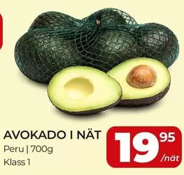 AVOKADO I NÄT