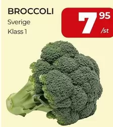 BROCCOLI