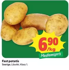Fast potatis