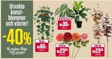 Utvalda konst-blommor och växter!