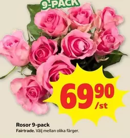 fairtrade - Rosor