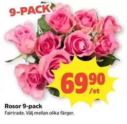 fairtrade - Rosor