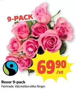 fairtrade - Rosor