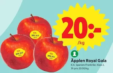 Äpplen Royal Gala