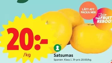 Satsumas
