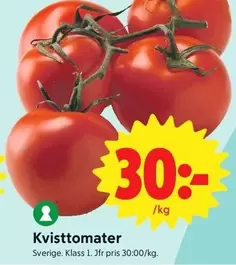 Kvisttomater