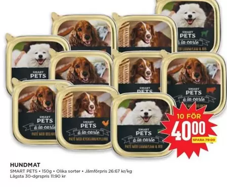 Smart - SMART PETS Hundmat