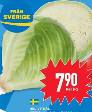 Hel Vitkål