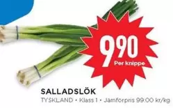 Salladslök
