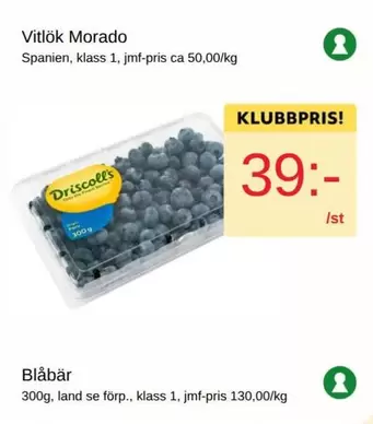Blåbär