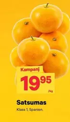 Satsumas