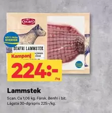 Scan - Lammstek