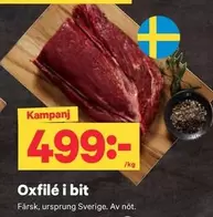 Oxfilé i bit