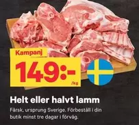 Helt eller halvvt lamm