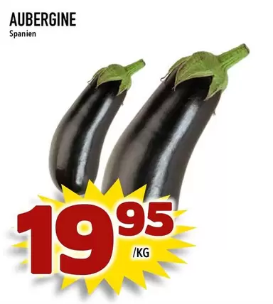 AUBERGINE