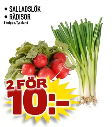 SALLADSLÖK & RÄDISOR
