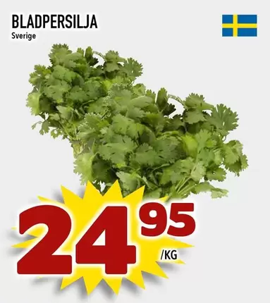 BLADPERSILJA