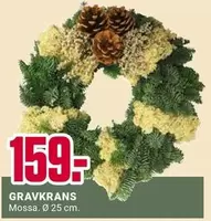 GRAVKRANS