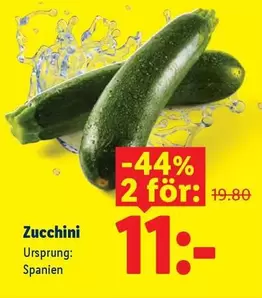 Zucchini