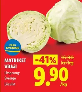 Vitkål