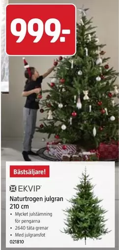 Naturtrogen julgran 210 cm
