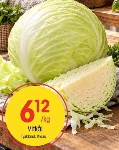 Vitkål