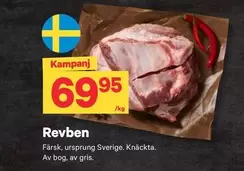 Revben