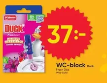 Duck - WC-block Fresh Disc 9916-5490