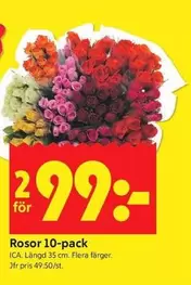 Rosor 10-pack