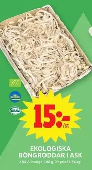 EKOLOGISKA BÖNGRODDAR I ASK