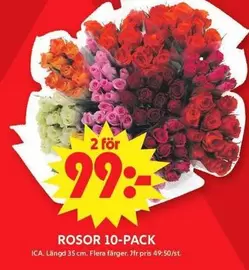 ROSOR 10-PACK