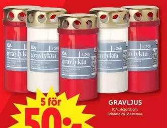 GRAVLJUS