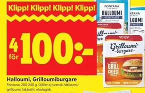 Fontana - Halloumi, GrilloumiBurgare