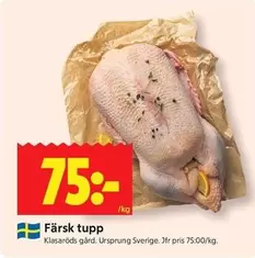 Färsk tupp