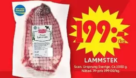 Scan - LAMMSTEK